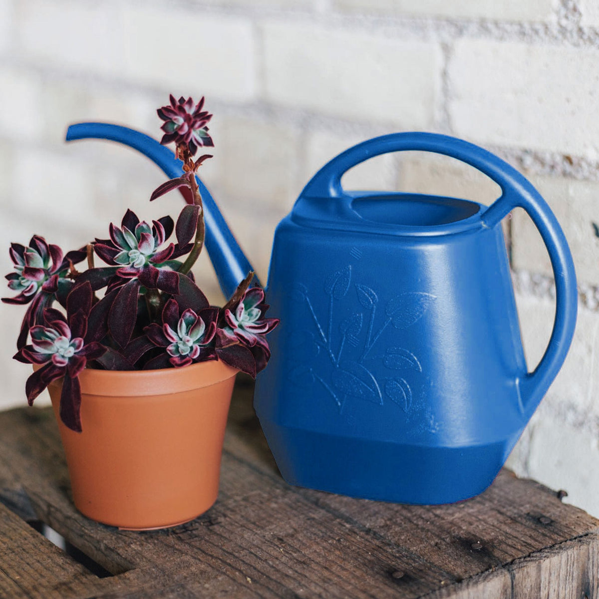 Indoor Plastic Watering Can, 4.25-L Y1Y6 - product image 8