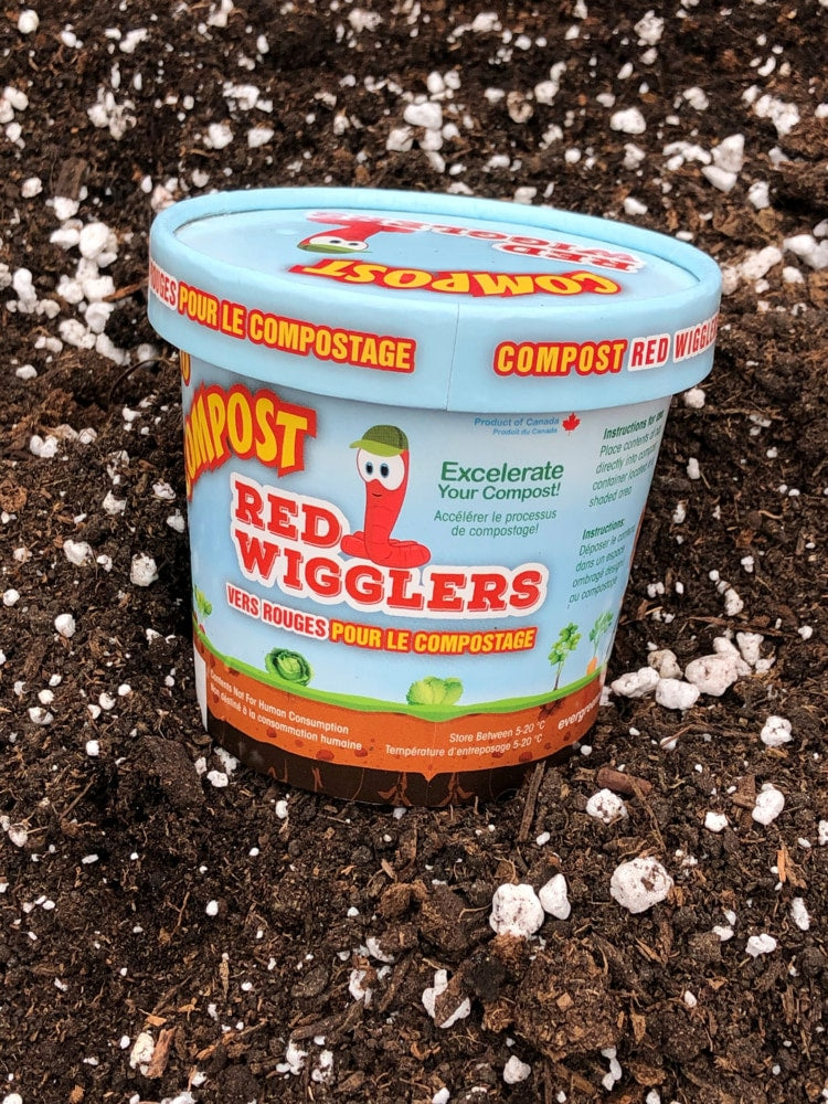 Compost Red Wiggler Live Composting Worms, 50 Count T2F4 - product image 2
