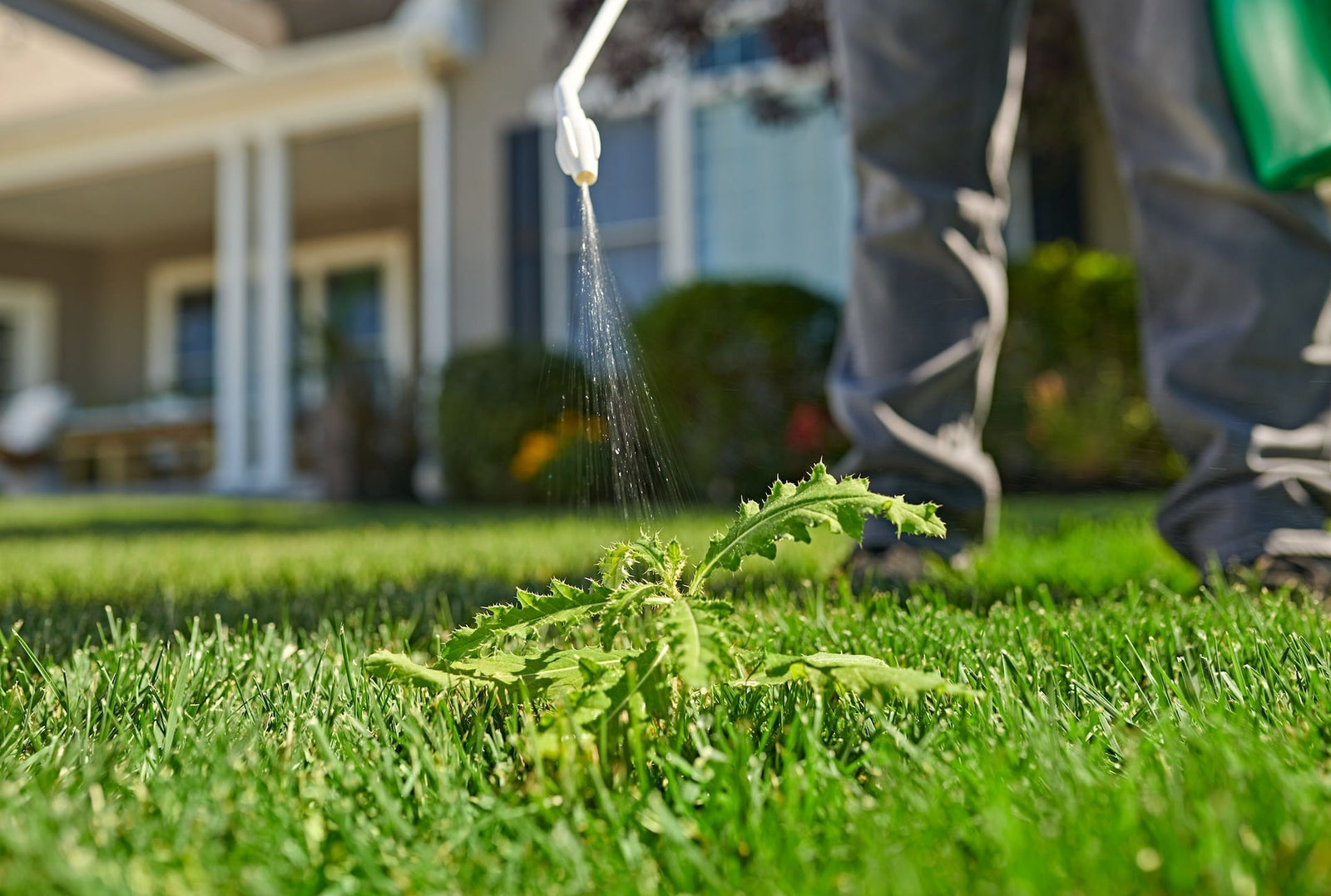 Killex Lawn Weed Control with Wand, 4-L G9N7 - product image 4