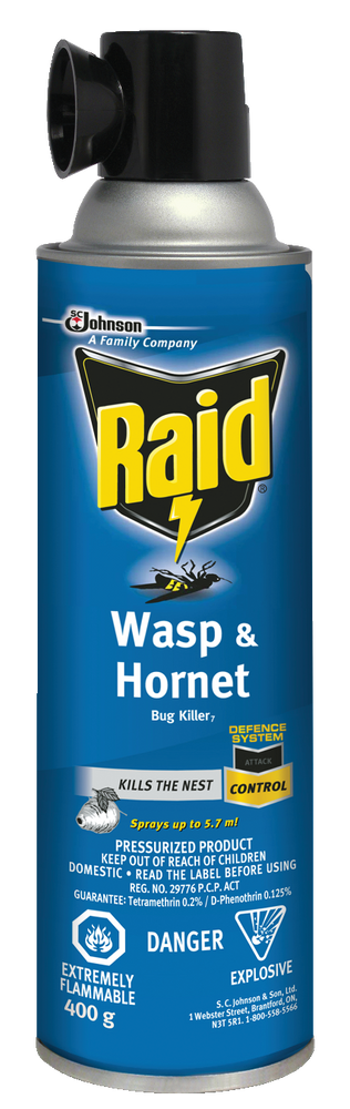 Hornet & Wasp Spray, Aerosol Spray, 400 g Q1K1 - product image 2