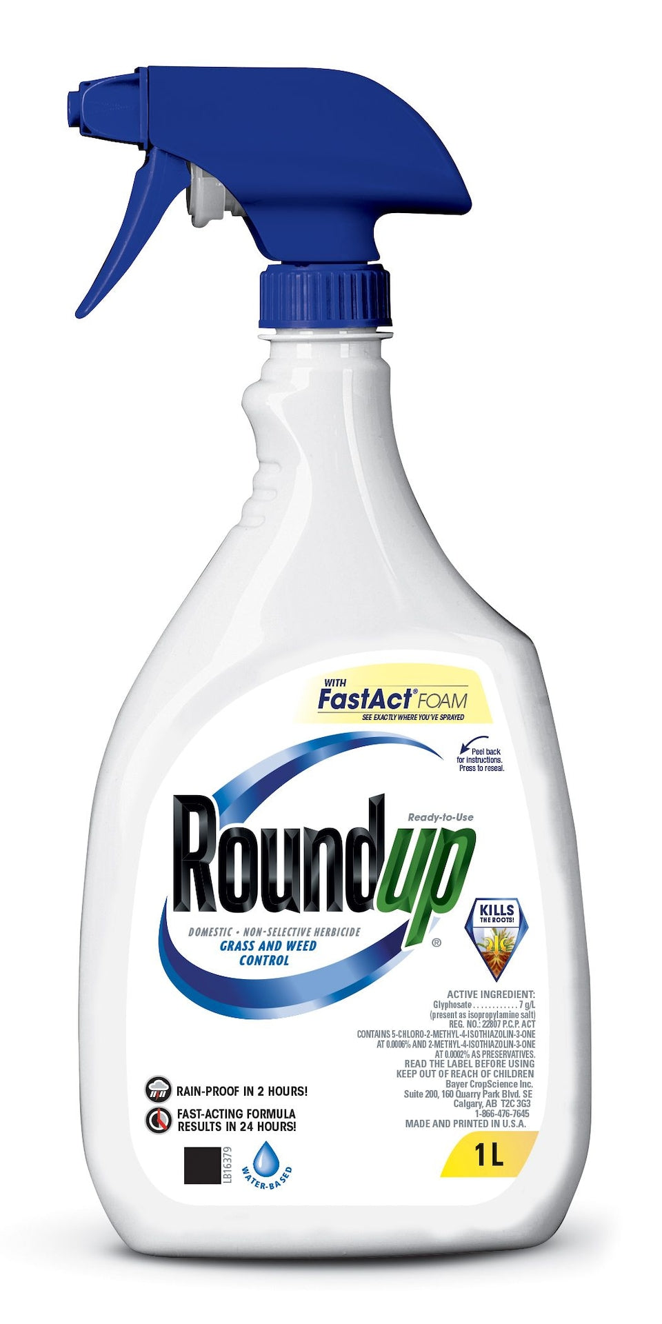 Ready-to-Use Herbicide Grass & Weed Control/Killer with Fast Fact Foam, 1-L J6H8 - product image 1