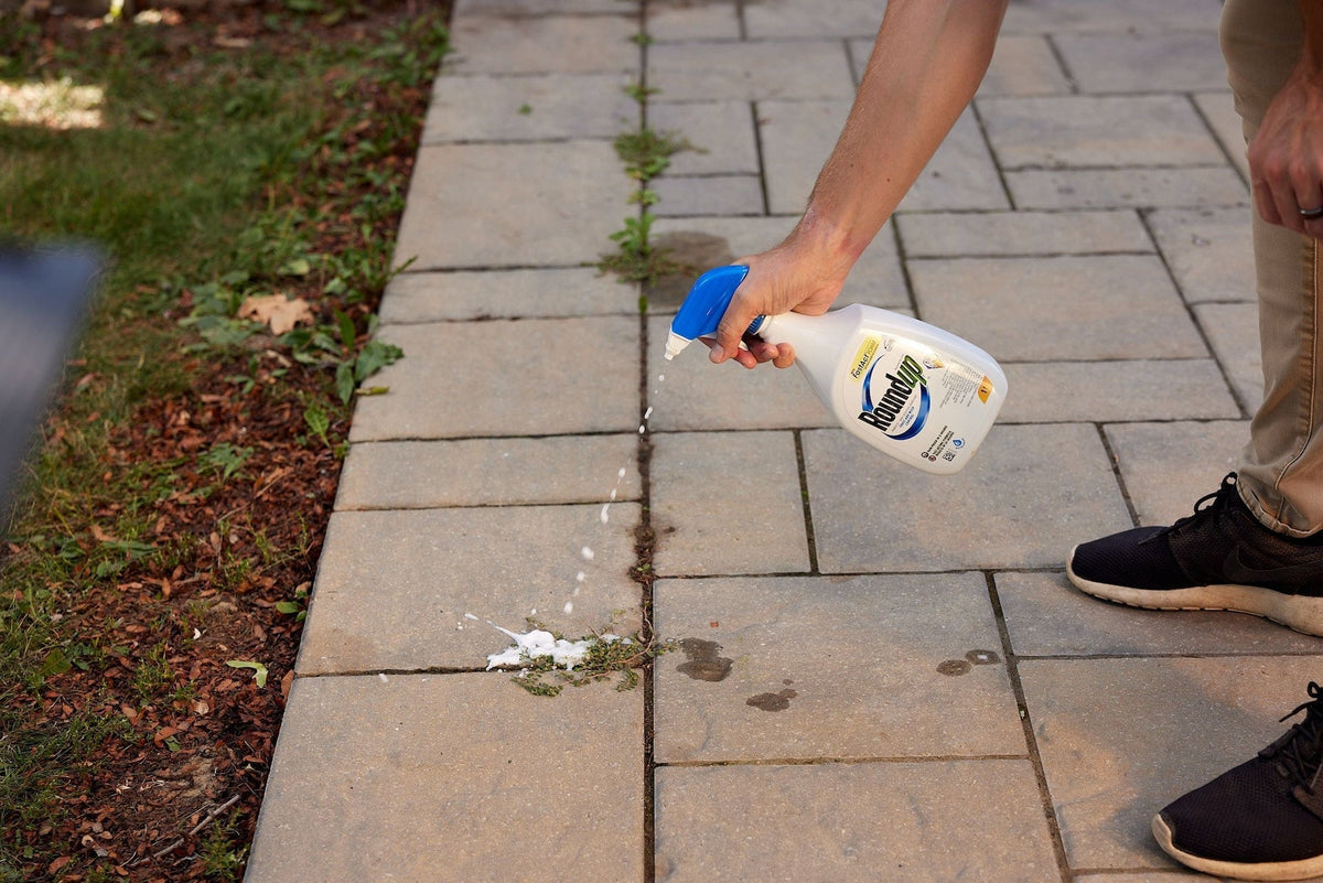 Ready-to-Use Herbicide Grass & Weed Control/Killer with Fast Fact Foam, 1-L J6H8 - product image 3