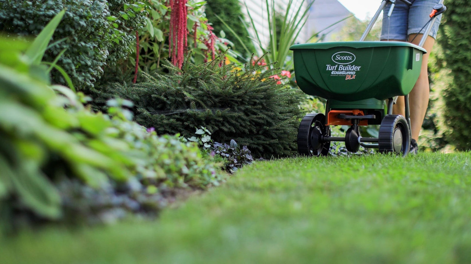 Turf Builder Deluxe Edgeguard Broadcast Spreader, 15,000 sq. ft. Z9Z1 - product image 6