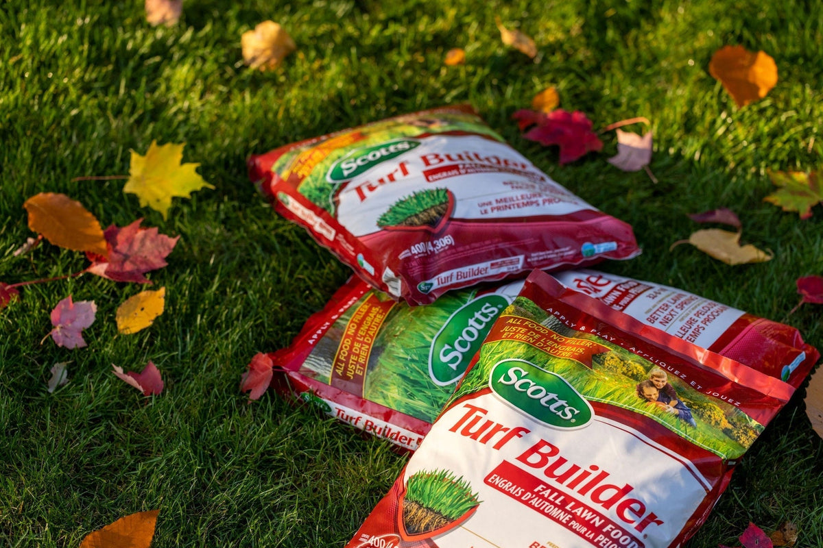 Turf Builder Fall Lawn Fertilizer, 5.25-kg Q4P9 - product image 4