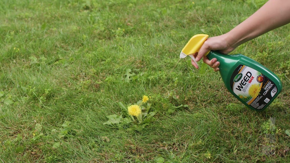 Weed B Gon MAX Ready-to-Use Weed Control/Killer, Herbicide for Lawns, 1-L X4C6 - product image 5