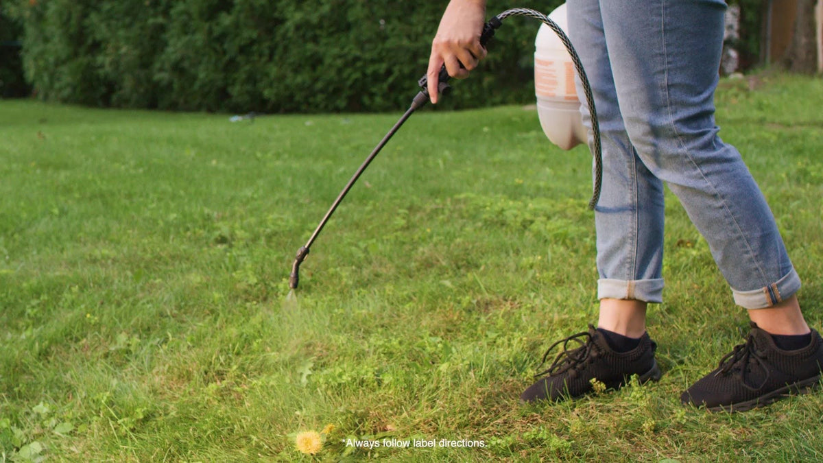 Weed B Gon MAX Weed Control Concentrate for Lawns, 1-L F0A1 - product image 3
