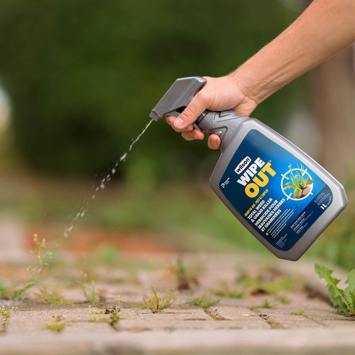 Wipe Out Ready-to-Use Total Weed & Grass Killer, Herbicide Sprayer, 1-L K4A2 - product image 4