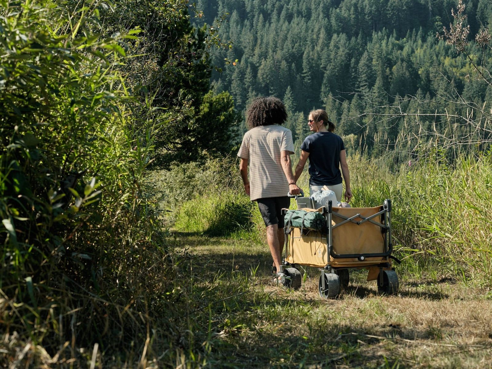 Overlander Fully Equipped Folding Wagon, 102-kg Capacity O9A8 - product image 8