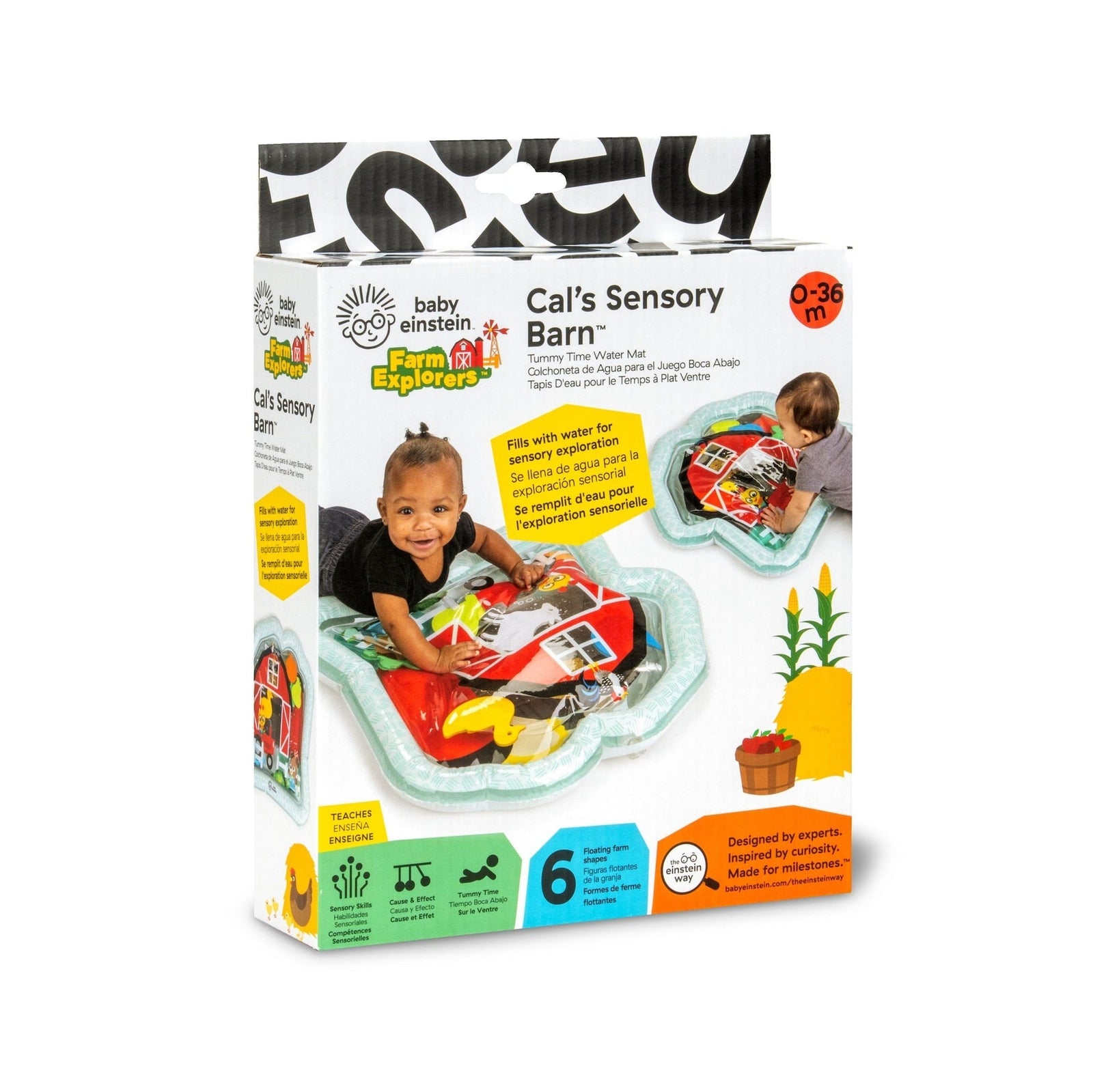 Baby Einstein Cal's Sensory Barn Tummy Time Water Mat Z3P4 - product image 1