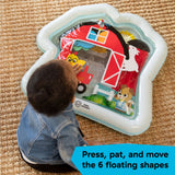 Baby Einstein Cal's Sensory Barn Tummy Time Water Mat Z3P4 - product image 8