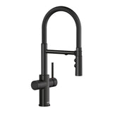 Catris Flexo Filter-Ready Semi-Pro Pull-Down Dual-Spray Kitchen Faucet, Matte Black T7G3 - product image 1