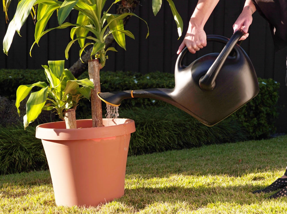 Easypour 2-in-1 Spout Watering Can with Dual Handle, 9.8-L, (2.6 US gal) Black D2M4 - product image 5