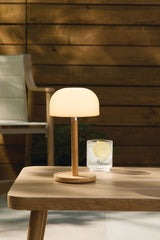 Outdoor Rechargable Bamboo Mushroom Lamp, Multiple Colour Modes R6K1 - product image 4