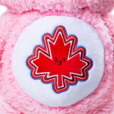 Care Bears Medium Plush Bear 2.0, 14-in B2X9 - product image 5