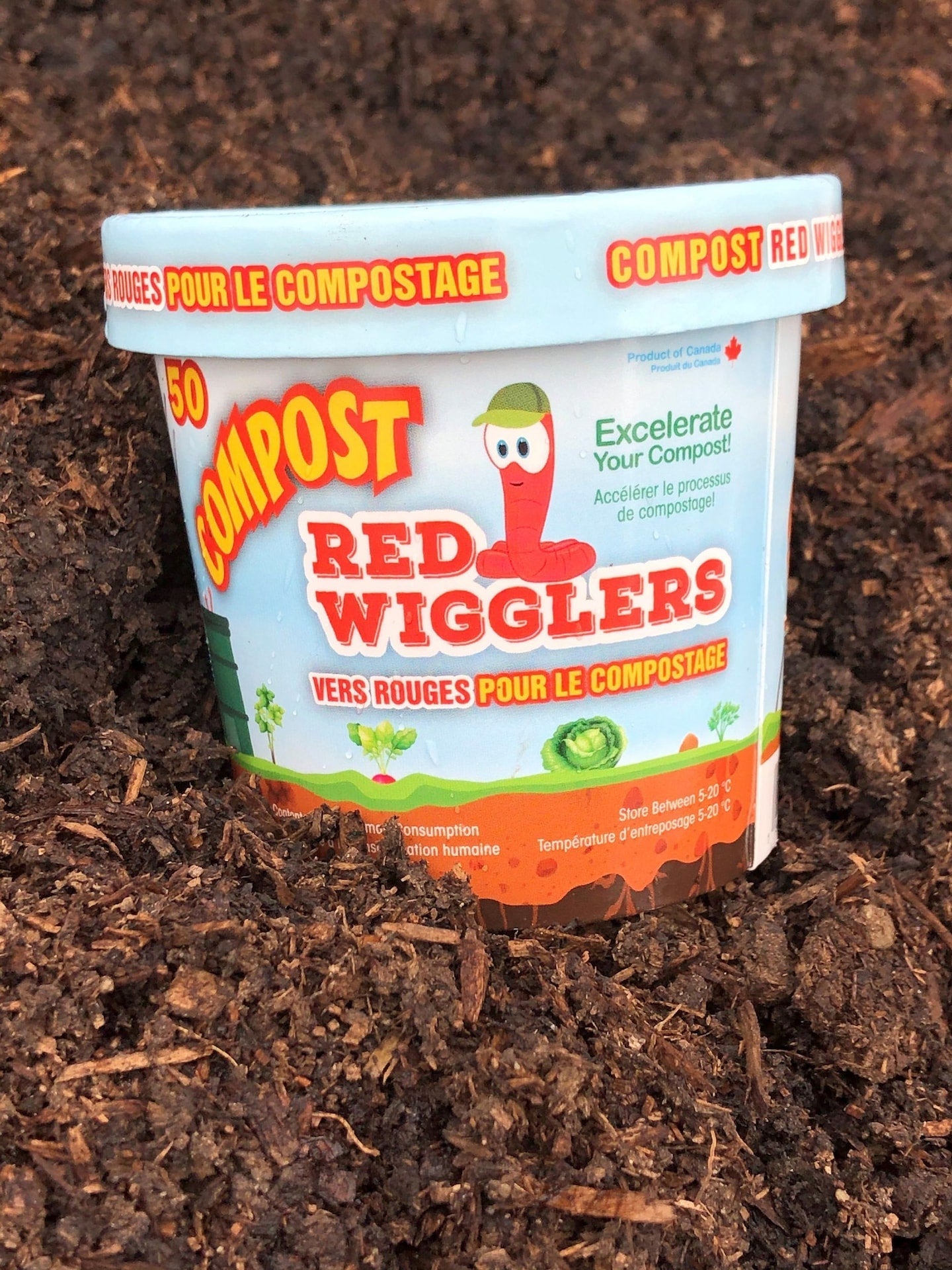 Compost Red Wiggler Live Composting Worms, 50 Count T2F4 - product image 1