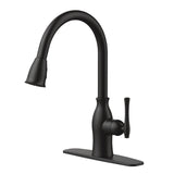 Lisa 1-Handle Pull-Down Kitchen Faucet, Matte Black T1Z1 - product image 1