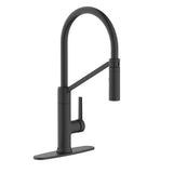Tana 1-Handle Pull-Down Kitchen Faucet R2I8 - product image 1