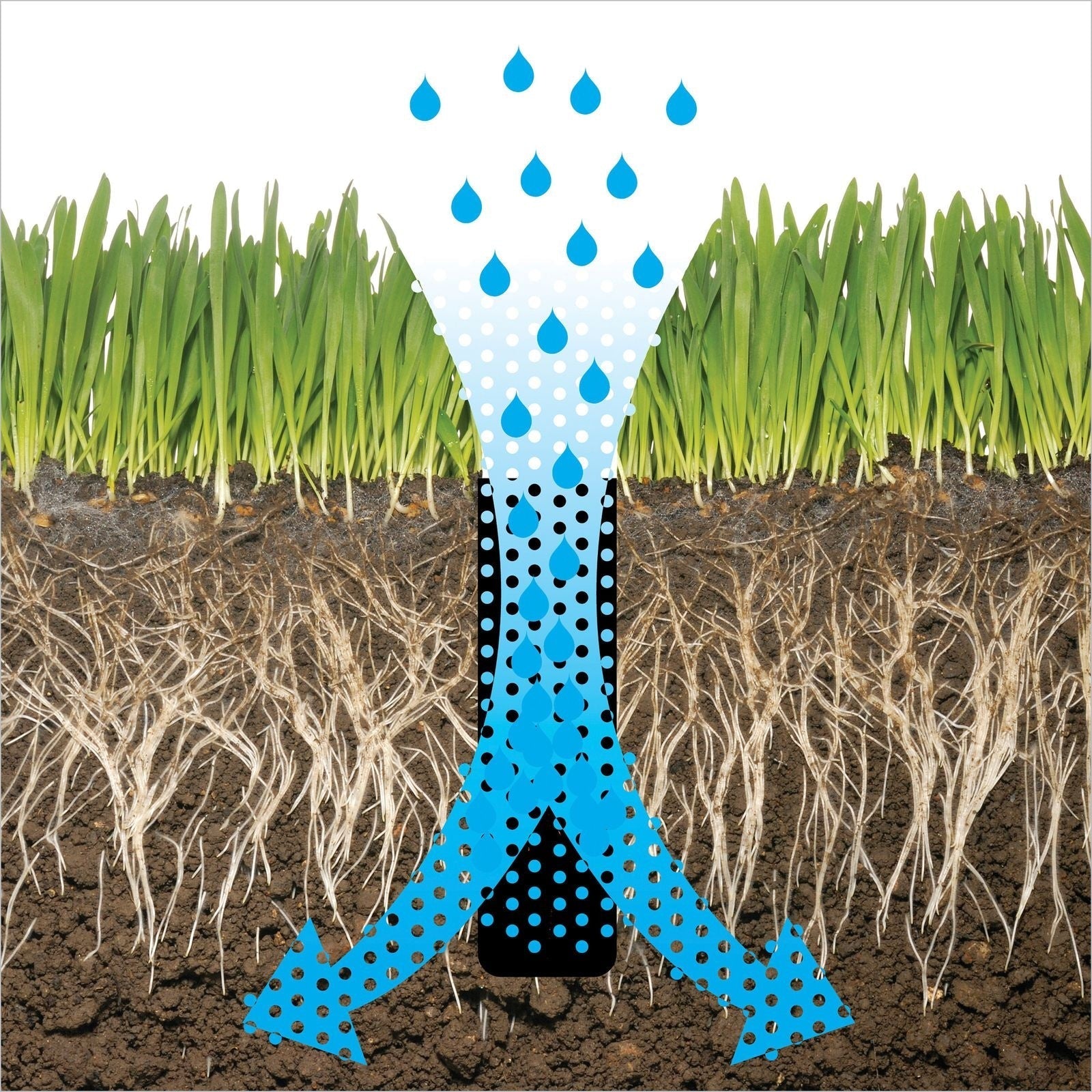 Heavy-Duty Two-Prong Extended Reach Steel Coring Aerator with T-Handle, 38-in M6U1 - product image 3
