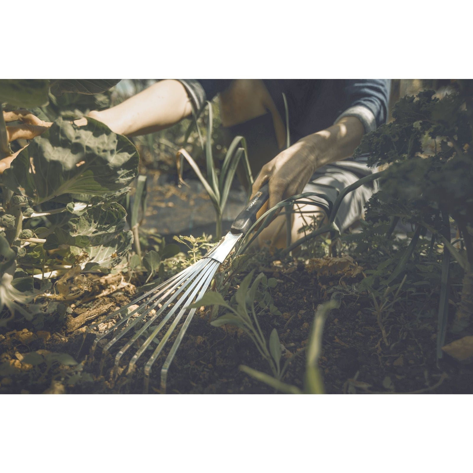 Xact rake J3Y3 - product image 4