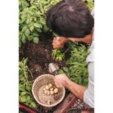 Xact Trowel O4S6 - product image 5
