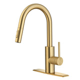 Oletto Single Handle High Arc Pull Down Kitchen Faucet, Brushed Brass S3V9 - product image 1