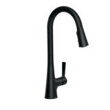Mikah 1-Handle Pull Down Kitchen Faucet, Matte Black N6Q3 - product image 1