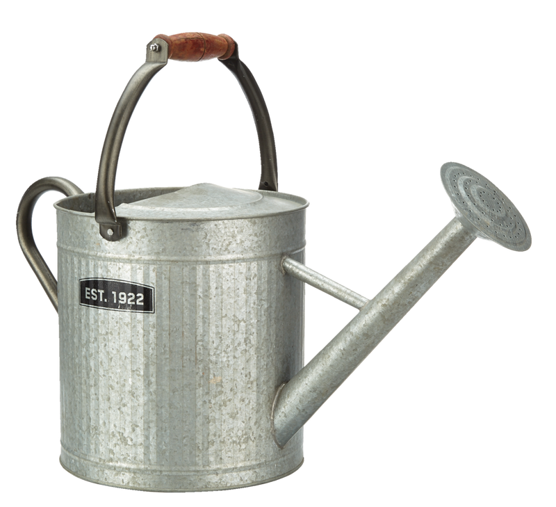 Vintage Style Decorative Watering Can with Wooden Handle, 7.5-L, (1.8 US gal), Silver C9S4