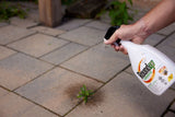 Advanced Ready-To-Use Grass & Weed Control Spray, 1-L Y5Z3 - product image 4
