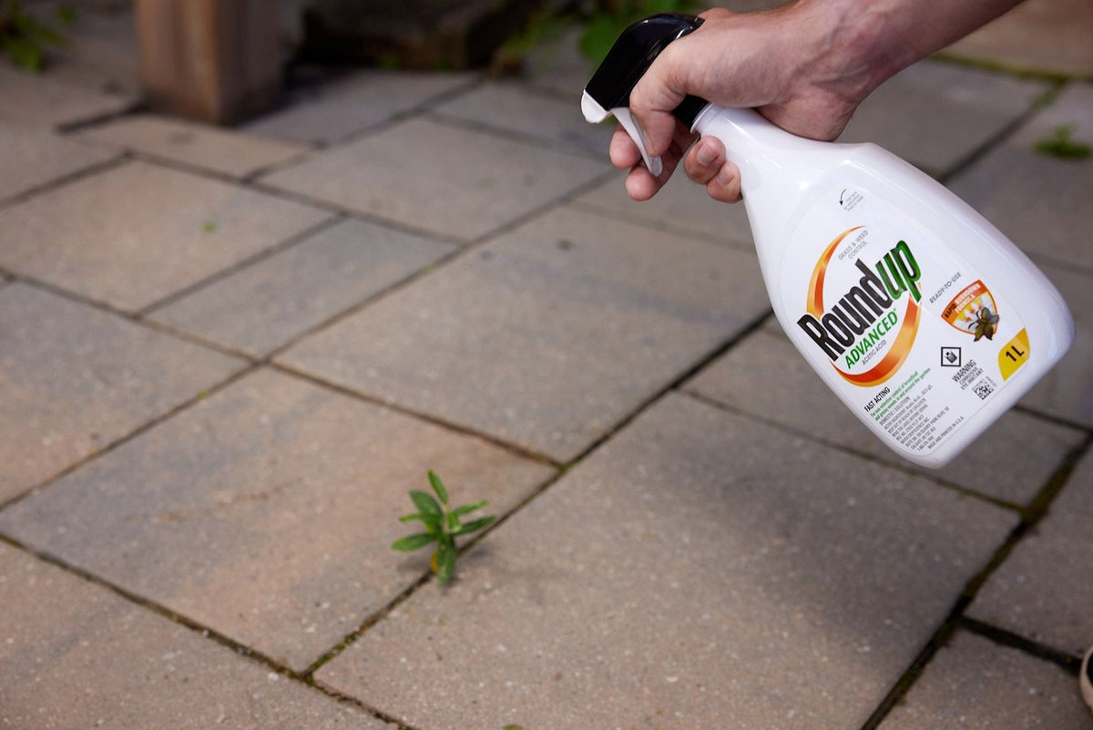 Advanced Ready-To-Use Grass & Weed Control Spray, 1-L Y5Z3 - product image 5