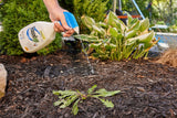 Ready-to-Use Herbicide Grass & Weed Control/Killer with Fast Fact Foam, 1-L J6H8 - product image 4