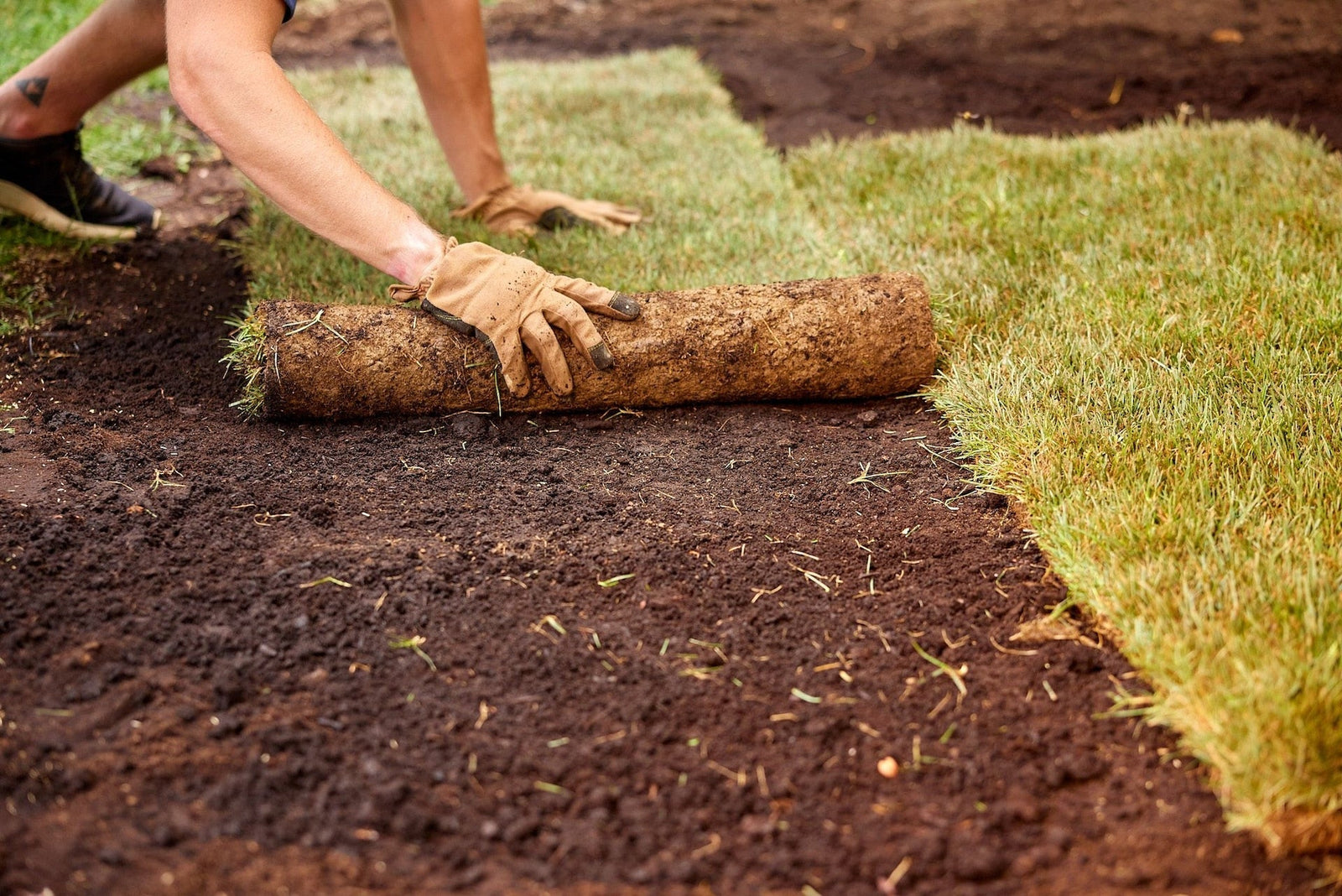 Turf Builder Starter Lawn Fertilizer, 24-25-4 For New Grass, 320-m2 Q1H2 - product image 4