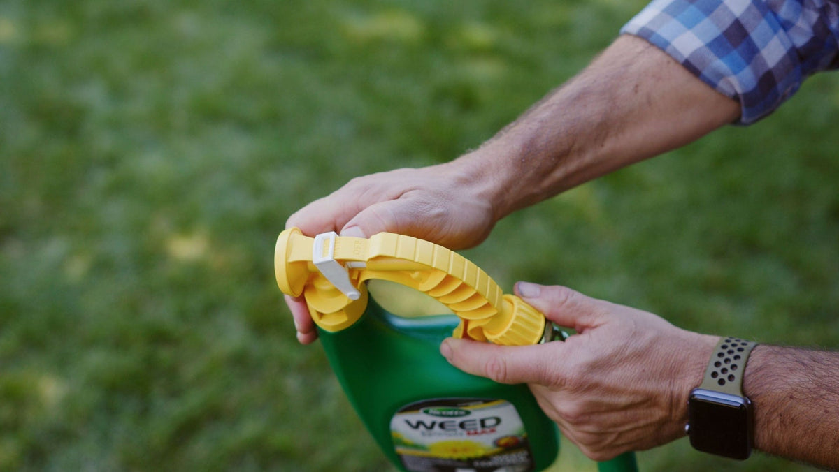 Weed B Gon MAX Ready-to-Spray Weed Control/Killer Concentrate, Herbicide for Lawns, 1-L R7K3 - product image 2