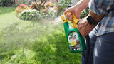 Weed B Gon MAX Ready-to-Spray Weed Control/Killer Concentrate, Herbicide for Lawns, 1-L R7K3 - product image 5
