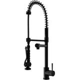 Zurich Kitchen Faucet, Matte Black I0E9 - product image 1