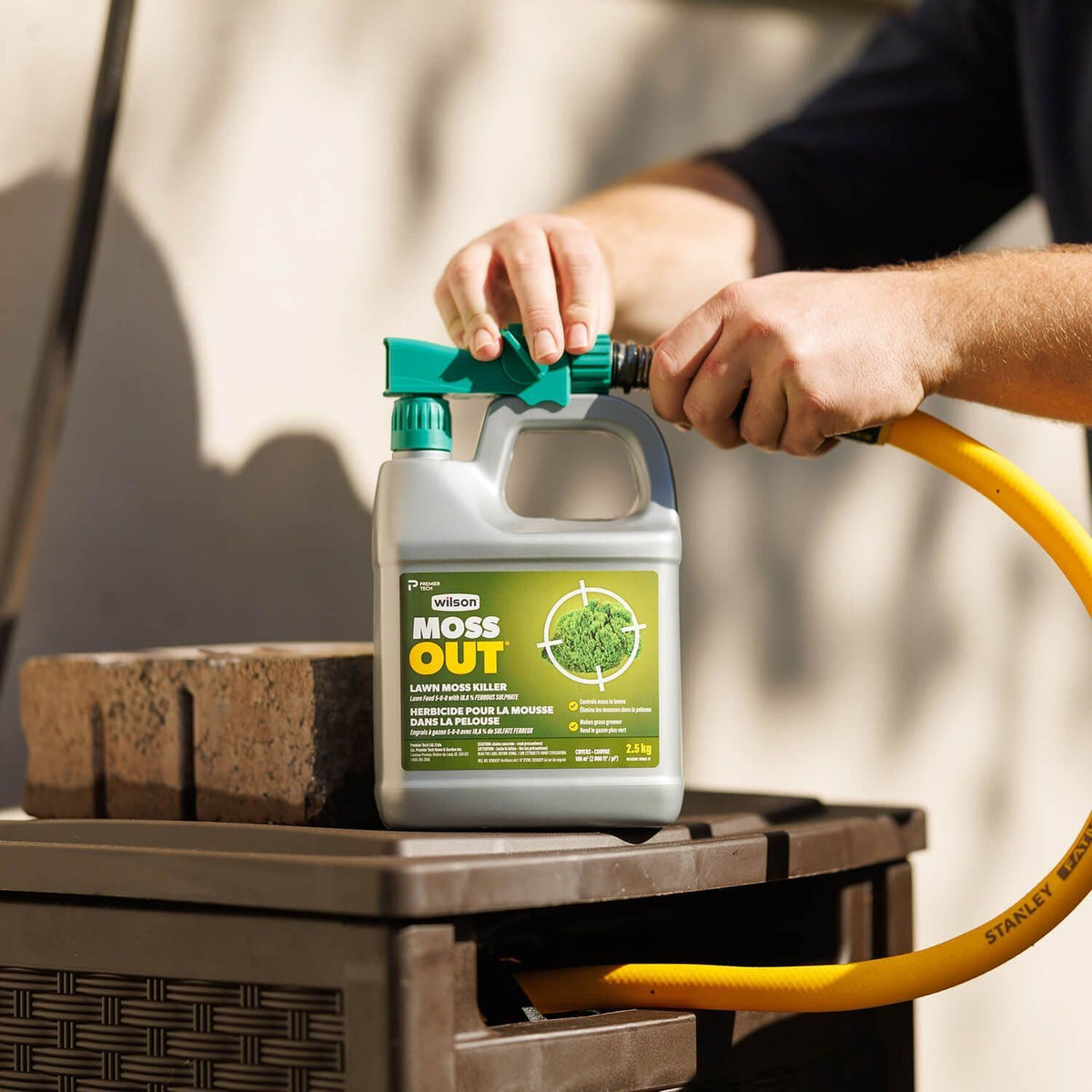 MossOut Moss Killer with Lawn Food 5-0-0, 2.5-kg Z3L5 - product image 4
