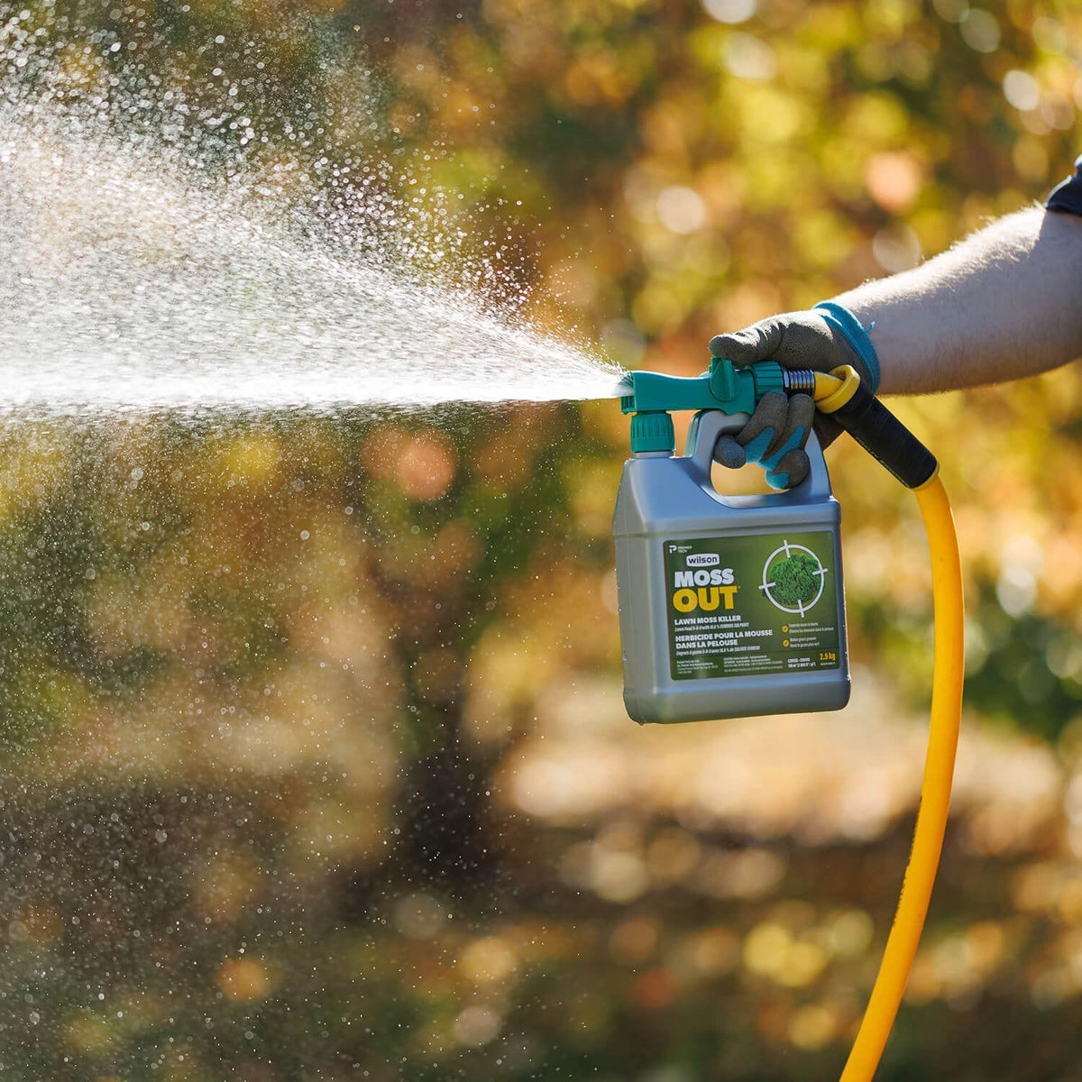 MossOut Moss Killer with Lawn Food 5-0-0, 2.5-kg Z3L5 - product image 5
