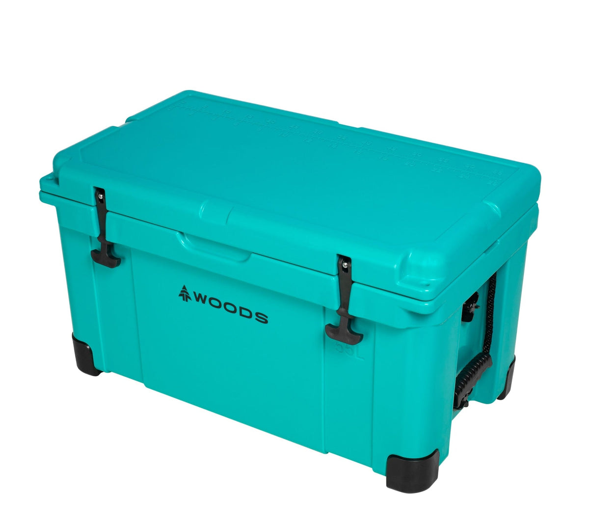 ARCTIC Roto-Moulded Cooler, 55-L, Turquoise H3K1 - product image 1