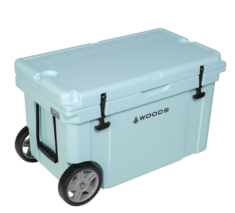 ARCTIC Wheeled Roto-Moulded Cooler with Handle, 65-L, Light Blue E3D3